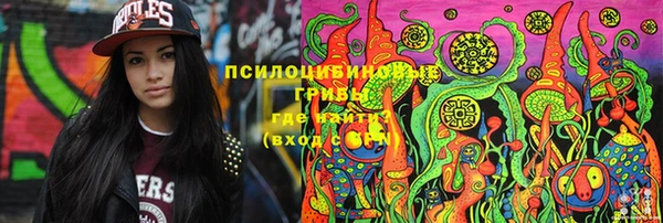 прущие крисы Лабытнанги