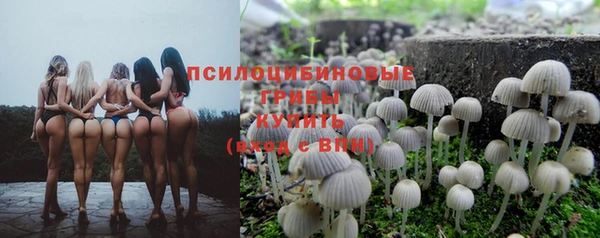 мдма Лагань