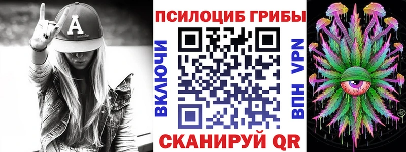 ссылка на мегу как войти  купить  цена  Медногорск  Псилоцибиновые грибы мицелий 