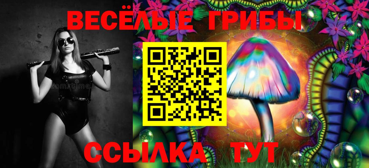 Галлюциногенные грибы мицелий  Вход с VPN  Медногорск 