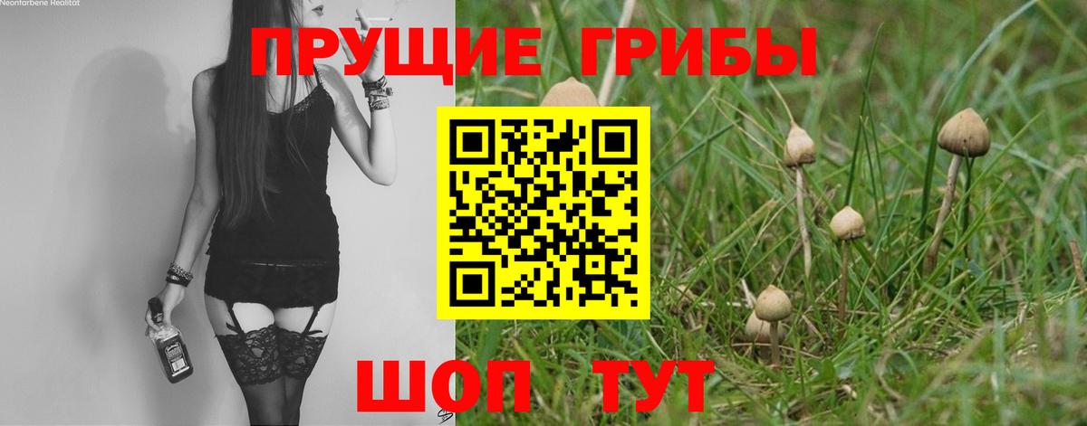 Псилоцибиновые грибы ЛСД Медногорск