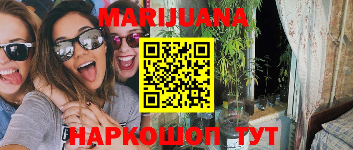 Каннабис план  Каннабис ГИДРОПОН  Вход с VPN  Шишки марихуана семена  Медногорск 